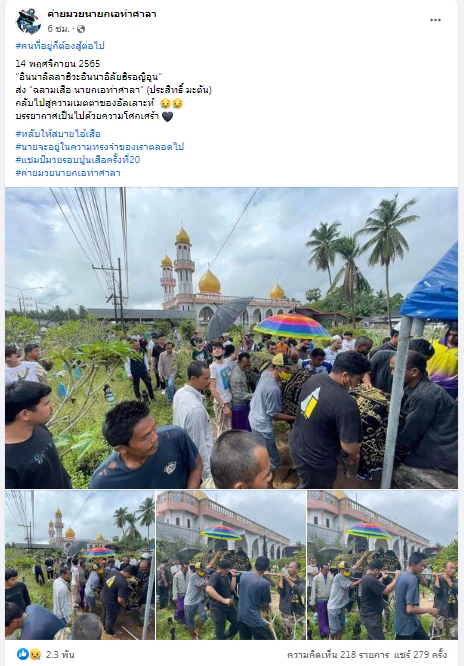 สุดยื้อ! ฉลามเสือ นายกเอท่าศาลา