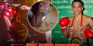 สุดยื้อ! ฉลามเสือ นายกเอท่าศาลา เสียชีวิตหลังประสบอุบัติเหตุ สุดยื้อ! ฉลามเสือ นายกเอท่าศาลา เสียชีวิตหลังประสบอุบัติเหตุ