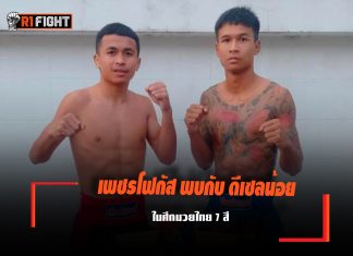 เพชรโฟกัส พบกับ ดีเซลน้อย ในศึกมวยไทย 7 สี เพชรโฟกัส พบกับ ดีเซลน้อย ในศึกมวยไทย 7 สี