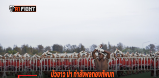 บัวขาว นำ กำลังพลกองทัพบก 3,650 นาย ไหว้ครูบันทึกสถิติโลก บัวขาว นำ กำลังพลกองทัพบก